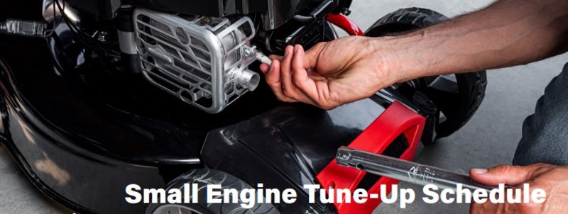 Small Engine Tune-Up Schedule