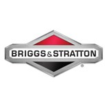 Briggs & Stratton Gasket (5 X 272163S)