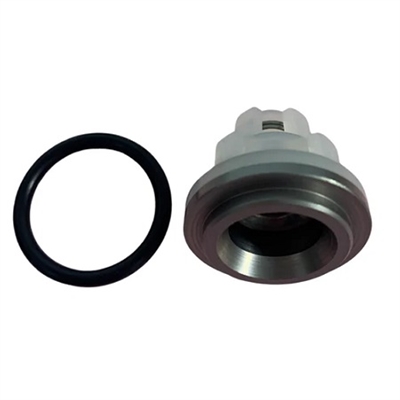 Comet Suction/Delivery Valve Assembly - 1220-0035 
