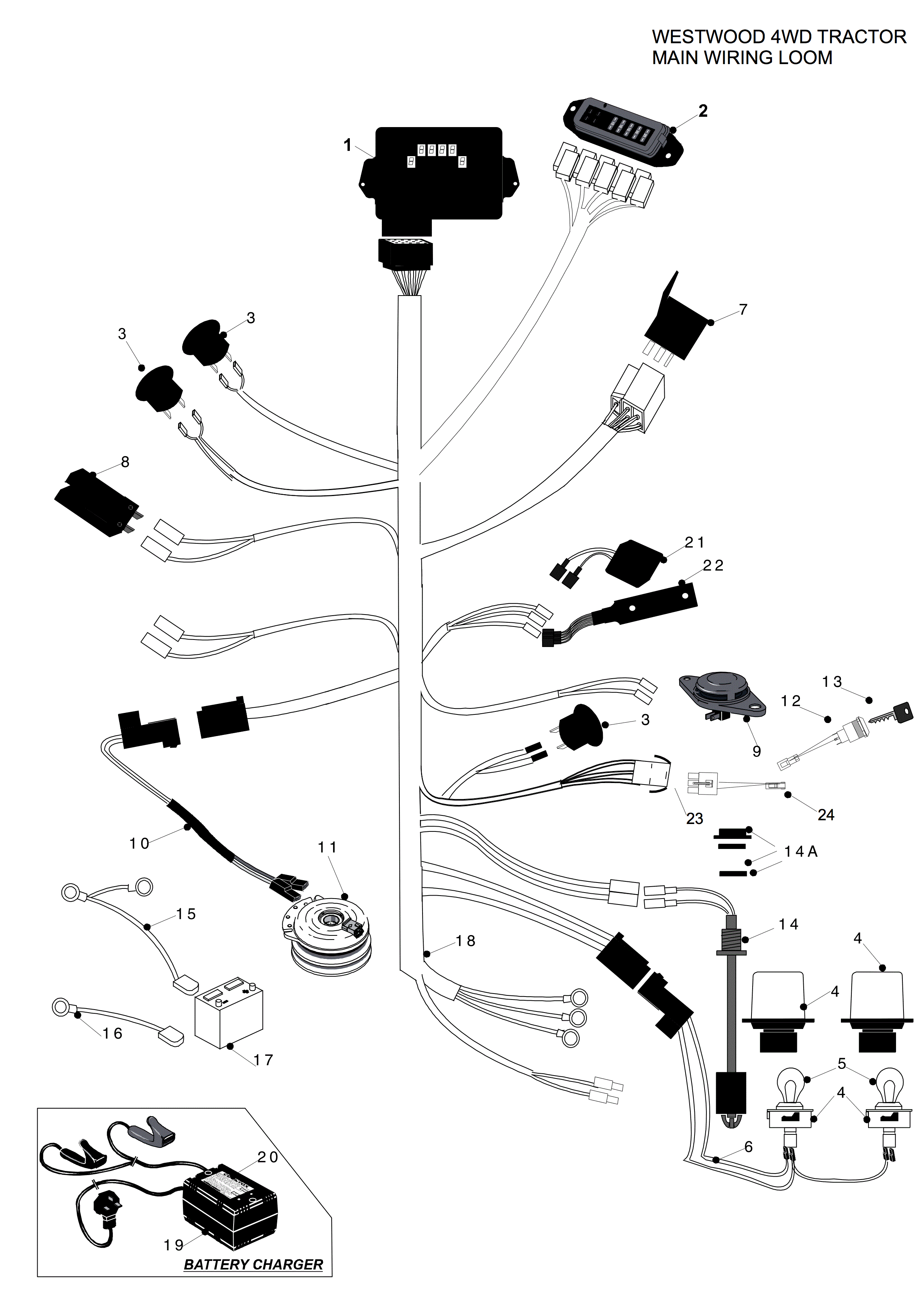 Main Wiring Loom