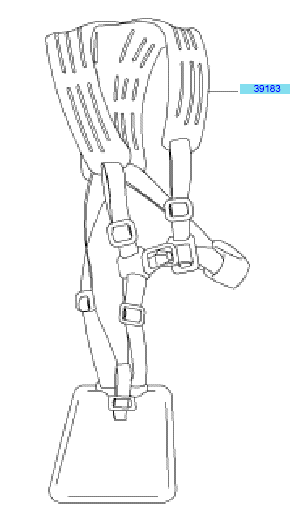 Hanger