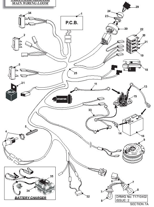 Main Wiring Loom