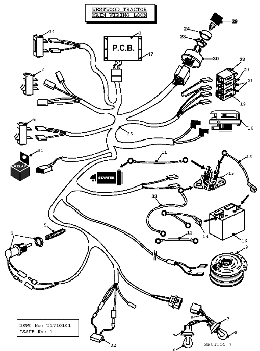 Main Wiring Loom