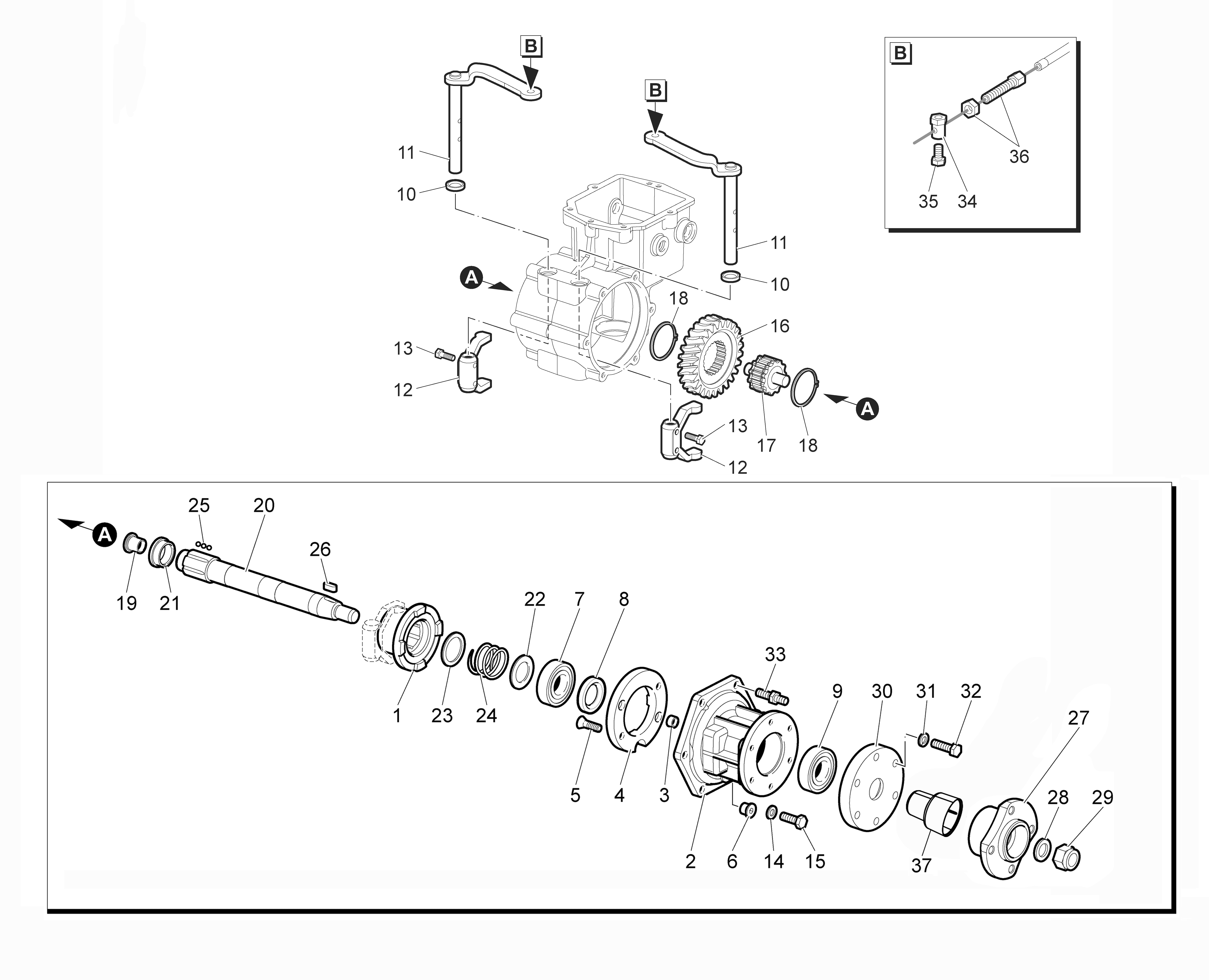 Speed gears of the gearbox