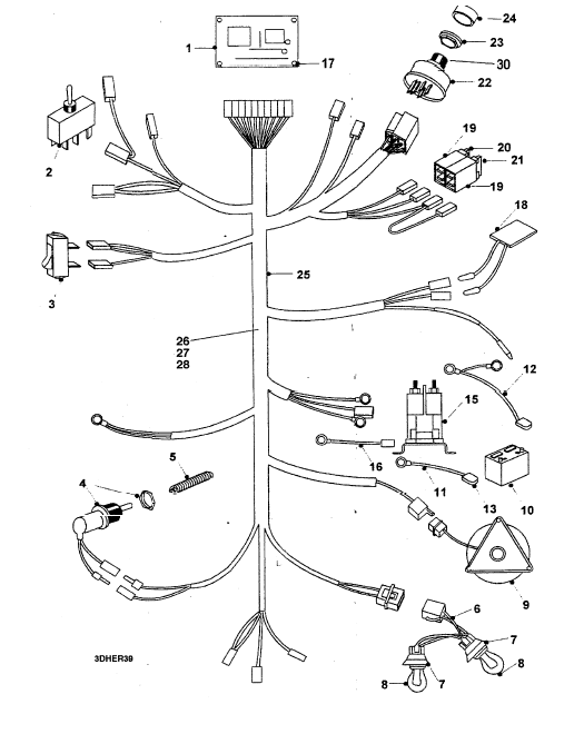 Wiring Loom