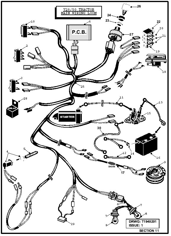 Main Wiring Loom