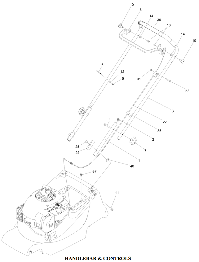 Handlebar & Controls