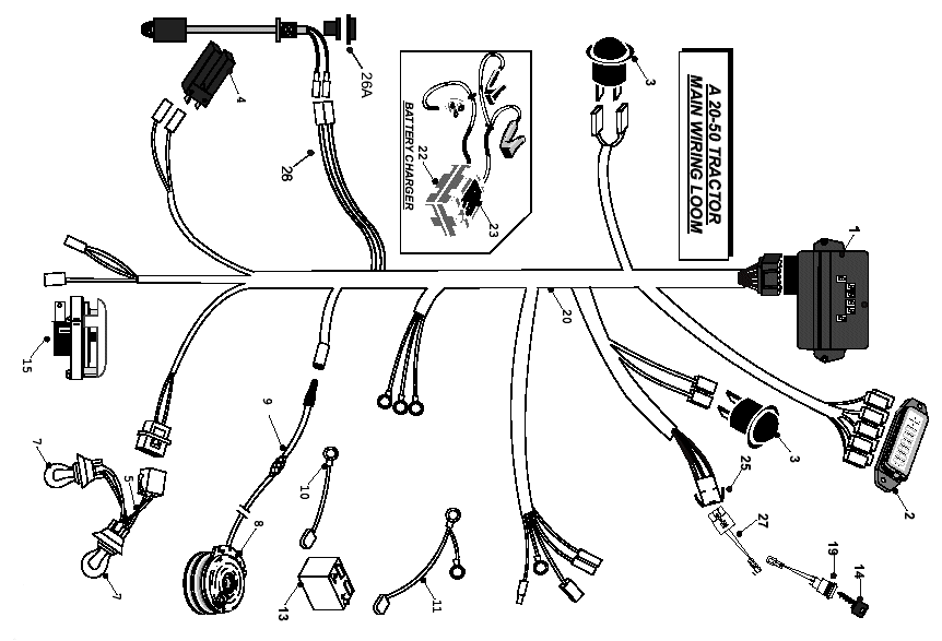 Main Wiring Loom