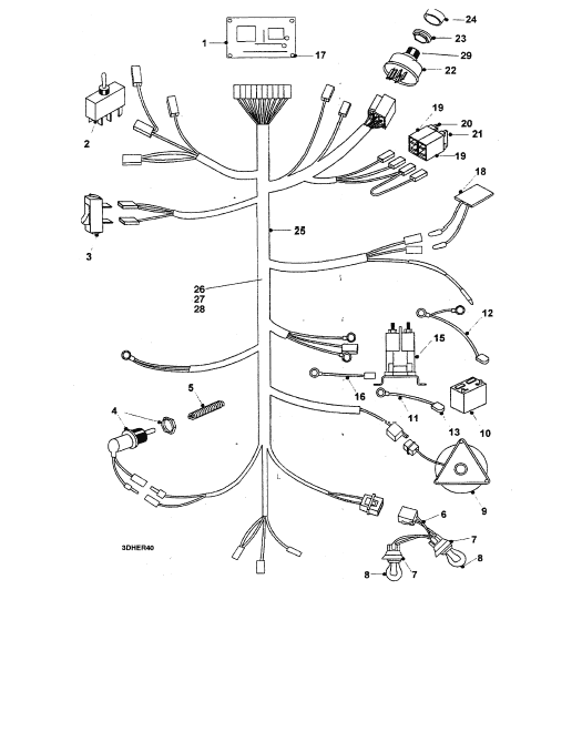 Wiring Loom