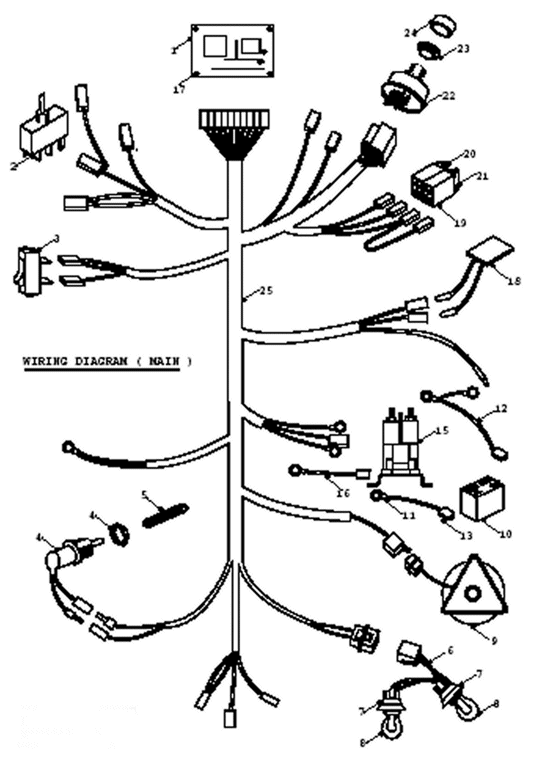 Main Wiring Loom