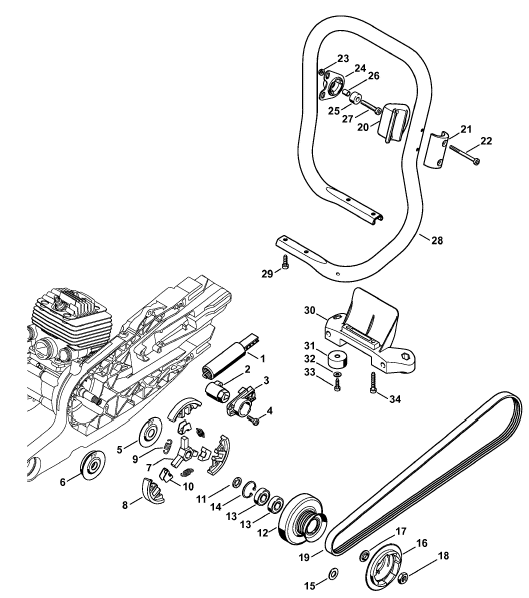 Belt