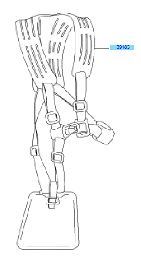 Hanger