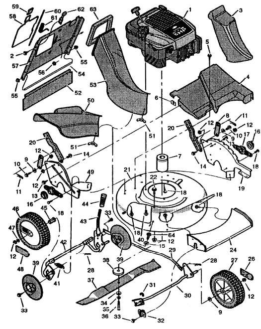 Main Body