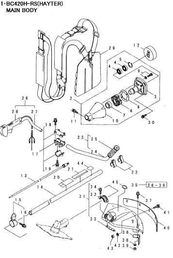 Main Body