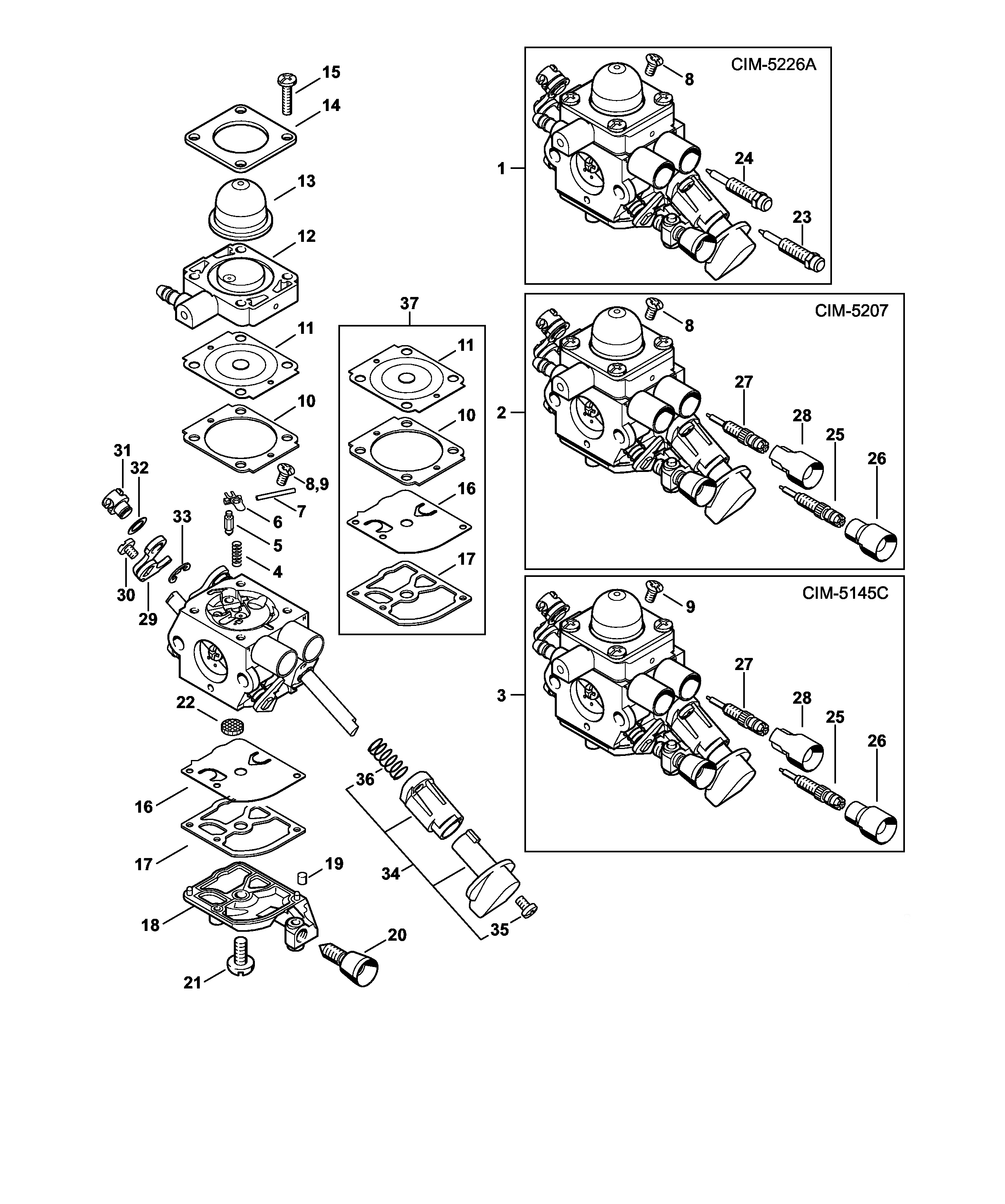 Carburettor C1M-S226, C1M-S145