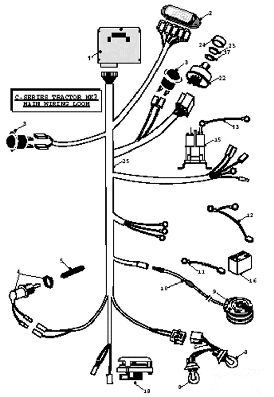 Main Wiring Loom