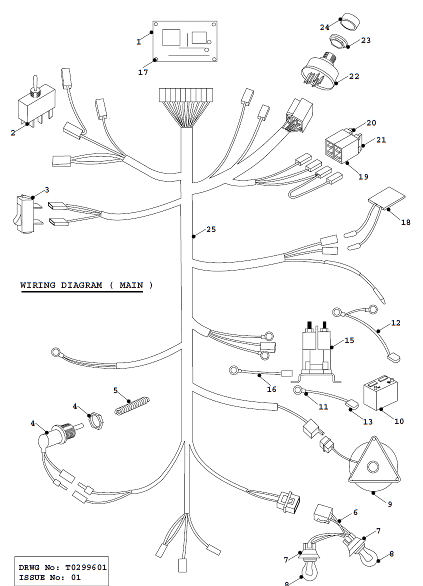 Main Wiring Loom