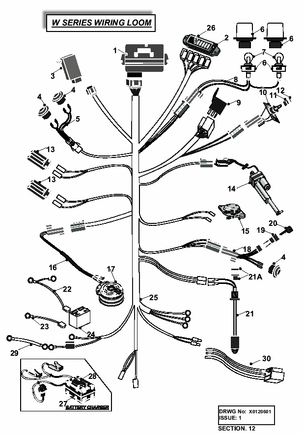 Wiring Loom