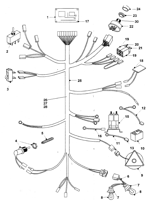 Wiring Loom