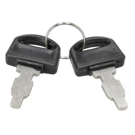 Briggs & Stratton Key Set