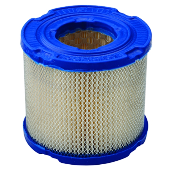 Briggs & Stratton Filter-A/C Cartridge