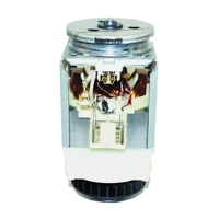 Flymo Motor