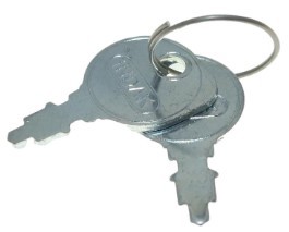 Briggs & Stratton Ignition Keys [Pair)