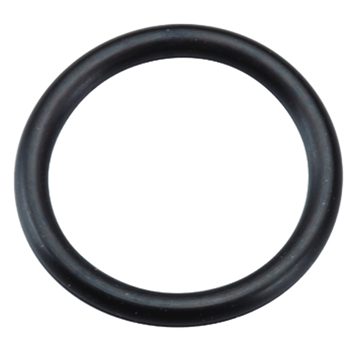 Briggs & Stratton Seal-O Ring