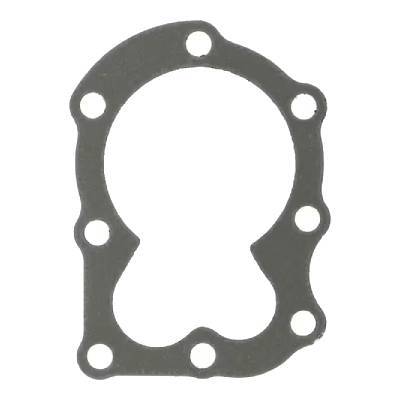Castel / Twincut / Lawnking Cylinder Head Gasket Sv150