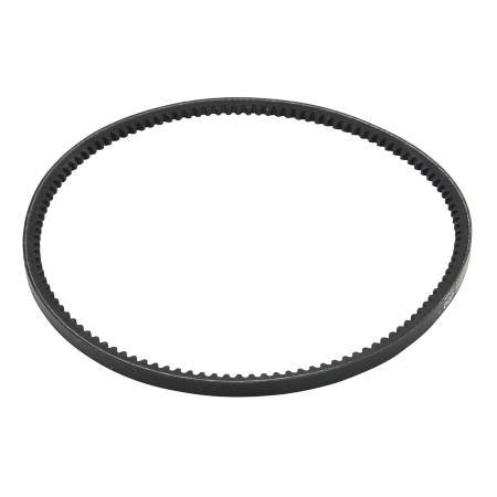 Mountfield Toothed Belt