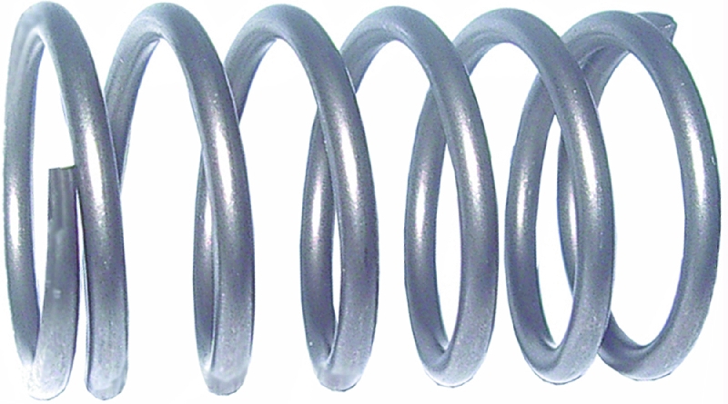 Honda Spring. Valve