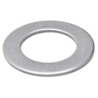 Hayter Washer-Thrust
