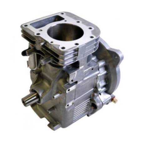 Briggs & Stratton Short Block - Model 21 OHV - Vertical Crankshaft = 25mm (1") x 80mm (3 5/32")