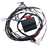 Castel / Twincut / Lawnking Pc Board + Wiring Loom Assembly