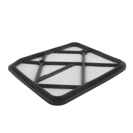 Efco Filter - Air - 61200025BR