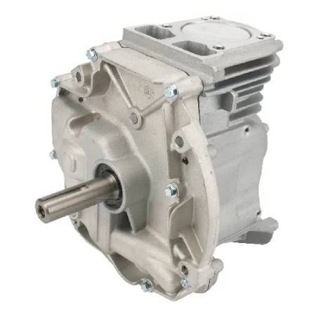 Briggs & Stratton Short Block - DOV Engine - Vertical Crankshaft = 22.2mm (7/8") x 80mm (3 5/32")