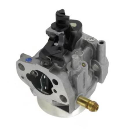 Castel / Twincut / Lawnking Carburettor