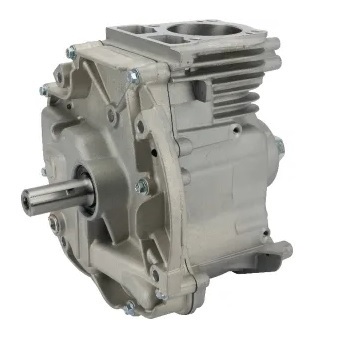 Briggs & Stratton Short Block - DOV Engine - Vertical Crankshaft = 22.2mm (7/8") x 62mm (2 7/16")