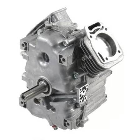 Briggs & Stratton Short Block - Model 29 + 30 Vanguard V-Twin - Vertical Crankshaft = 25mm (1") x 80mm (3 5/32")