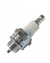 NGK - Spark Plug