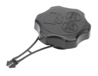 Briggs & Stratton Cap, Fuel