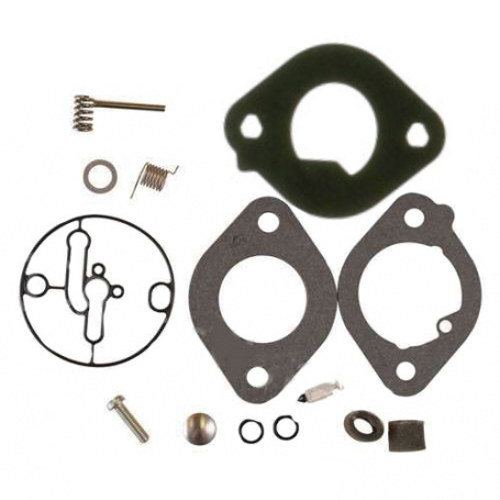 Briggs & Stratton Kit, Carburetor Overhaul