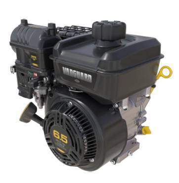 Briggs & Stratton Vanguard 200 OHV Engine - Crankshaft = 19.05mm (3/4") x 62mm (2 7/16") - Variable Speed
