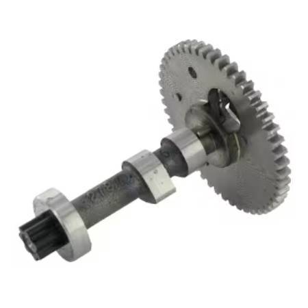 Alpina  Camshaft Assembly