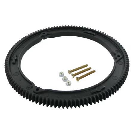 Briggs & Stratton Gear-Ring
