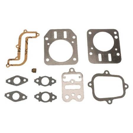 Briggs & Stratton Gasket Set-Valve