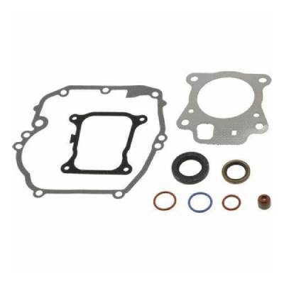 Briggs & Stratton Gasket Set-Engine