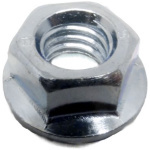 Echo Nut