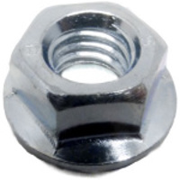 Echo Nut