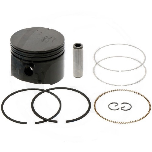 Briggs & Stratton Piston and Ring Set (Std)